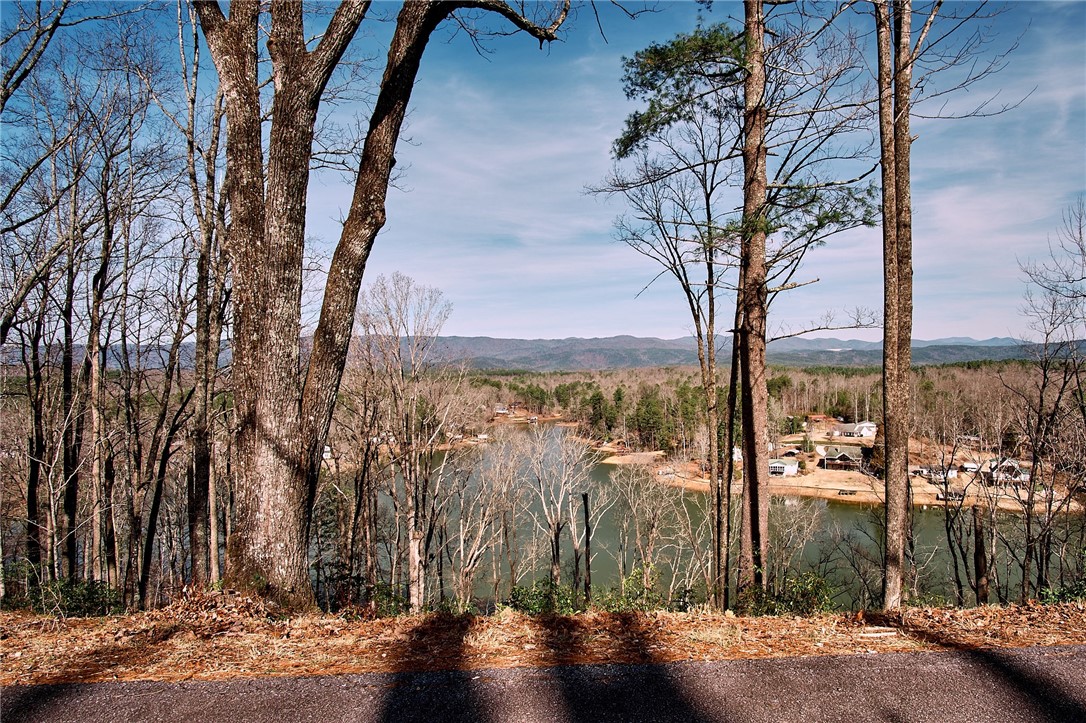 207 Whitewater Lake Road Tamassee, SC 29686 - Photo 45 of 47 Gallery Image 45