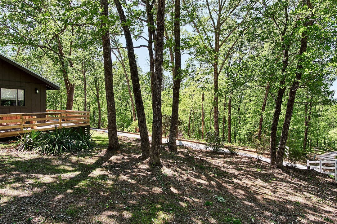 207 Whitewater Lake Road Tamassee, SC 29686 - Photo 10 of 47 Gallery Image 10