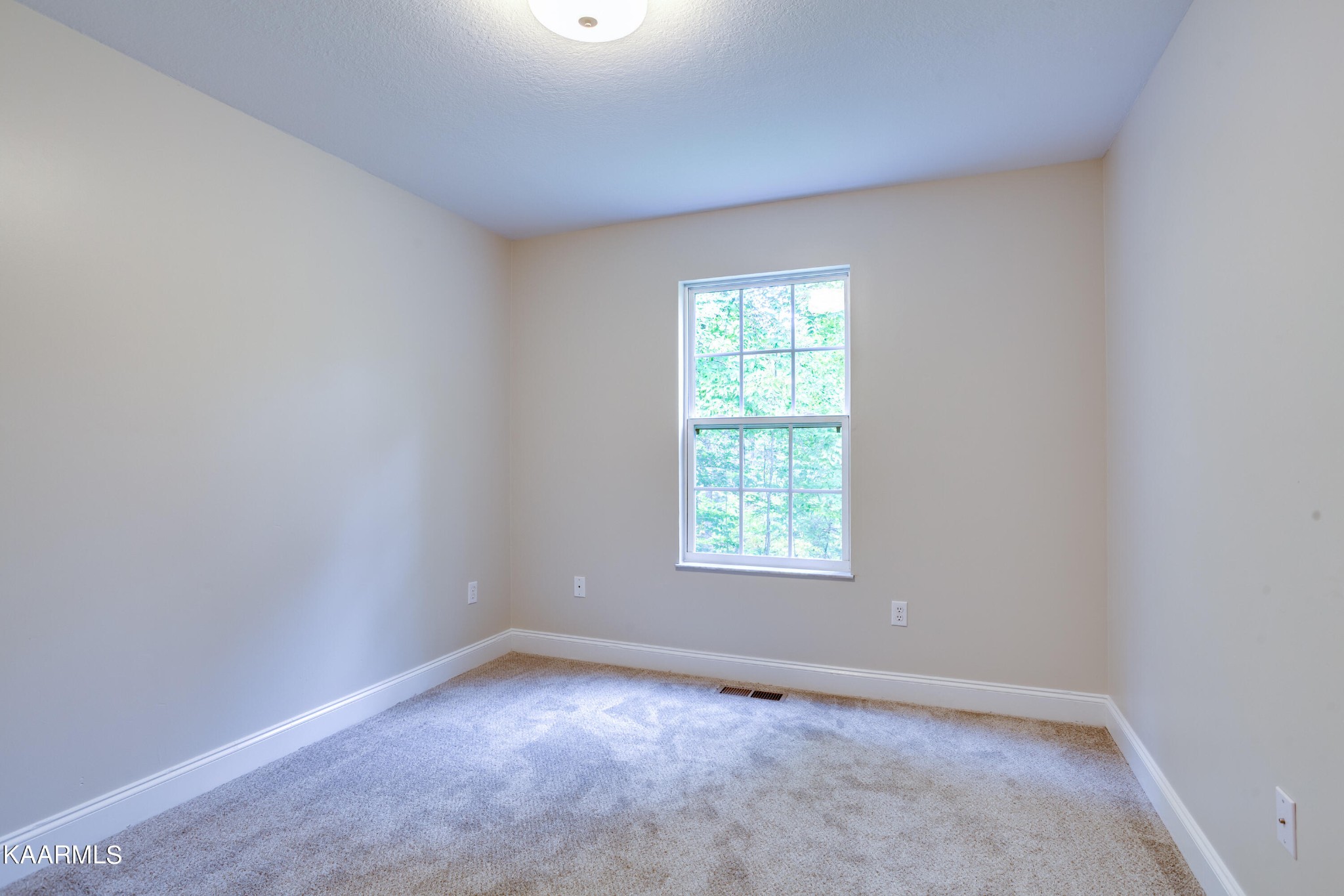 113 Fairview Church Road Heiskell, TN 37754 - Photo 26 of 46 Gallery Image 26