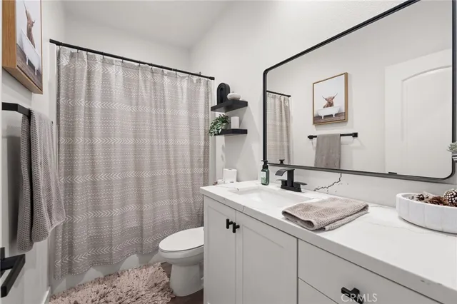 a bathroom with a sink a toilet and shower curtain