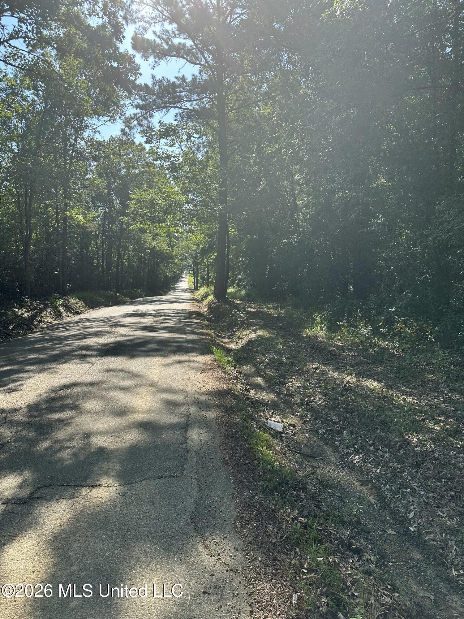 J C Prestage Road Pelahatchie, MS 39145 - Photo 2 of 24 0EFAE00D-47D8-4FD5-AEBC-A45D9BE8CB14