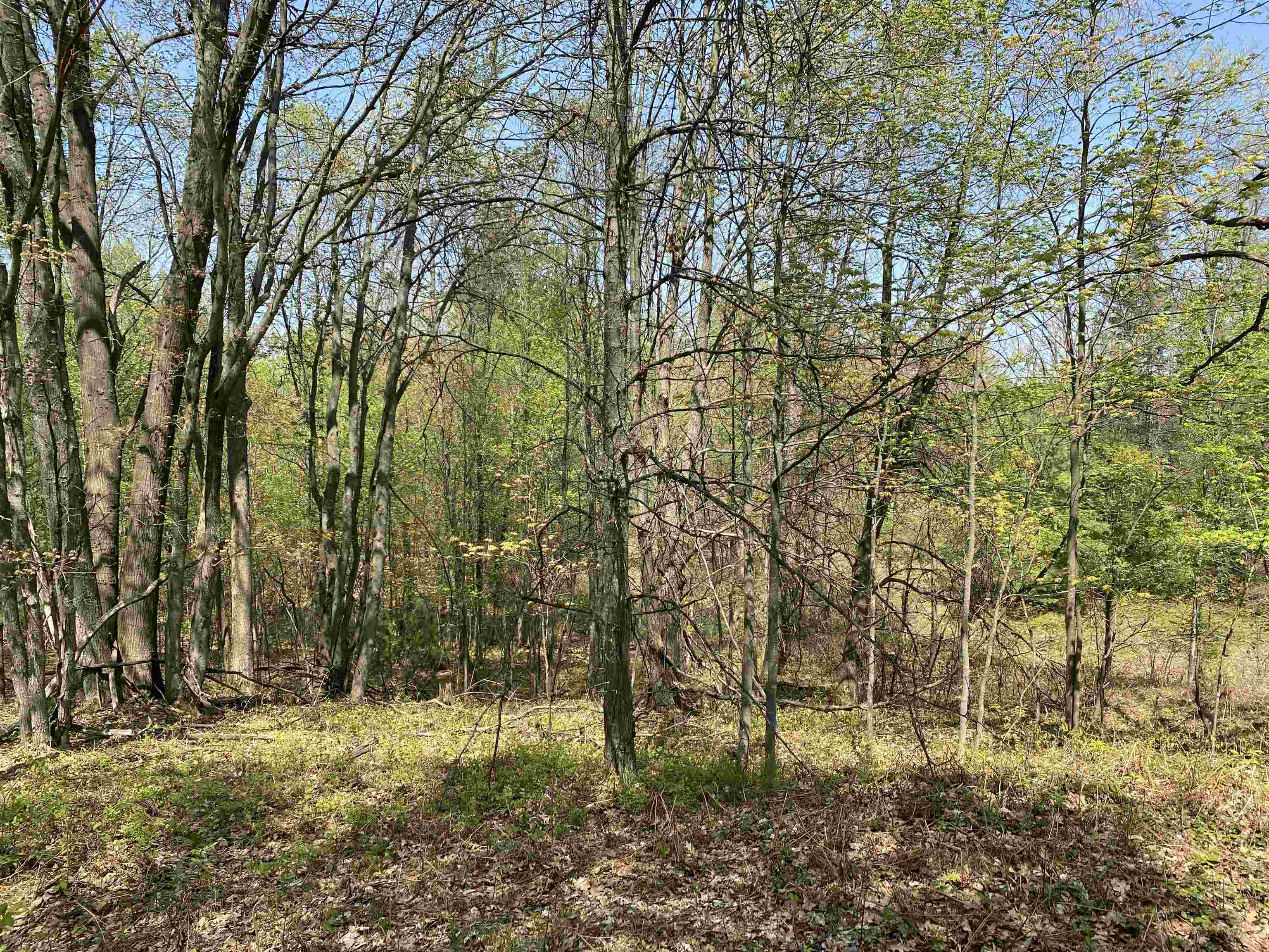 47 South 47 3/4 Road, Unit FOREST DRIVE LOT: 4 Cadillac, MI 49601 - Photo 4 of 14