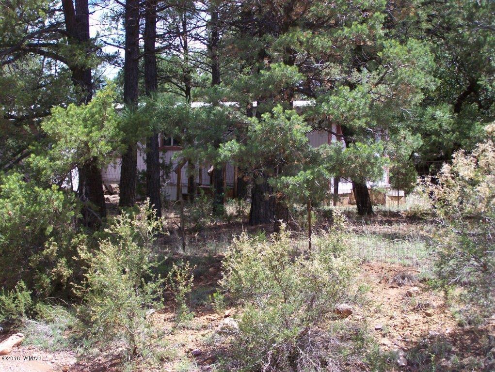 2967 Deer Trail Overgaard, AZ 85933 - Photo 11 of 19 Gallery Image 11