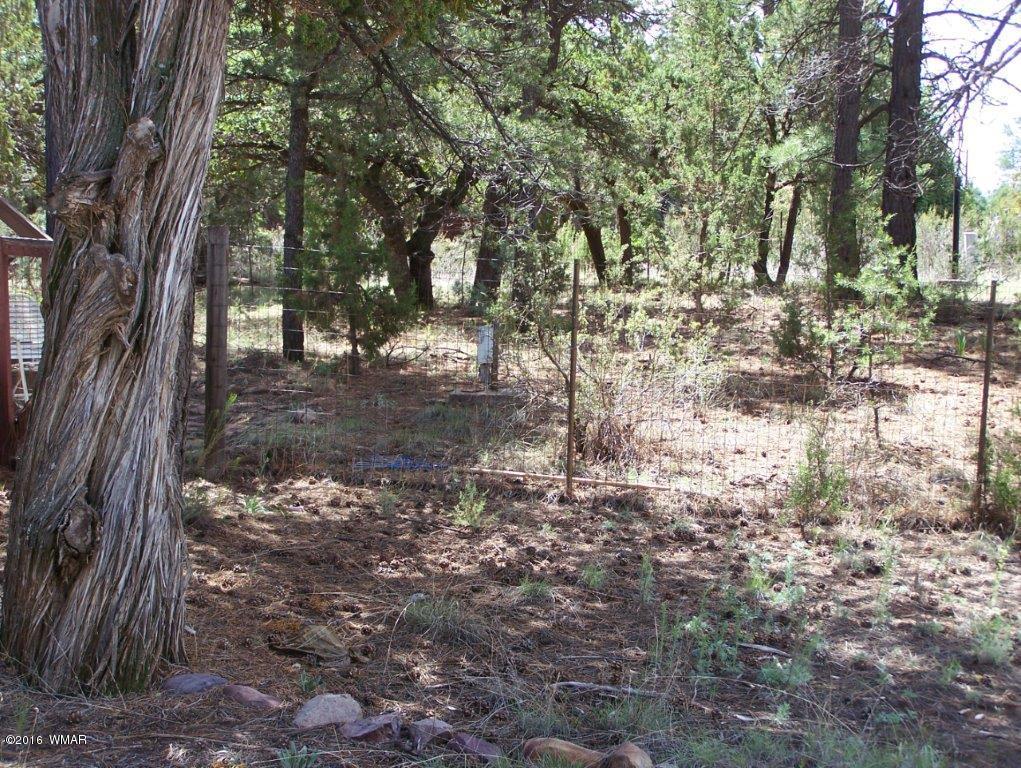 2967 Deer Trail Overgaard, AZ 85933 - Photo 13 of 19 Gallery Image 13