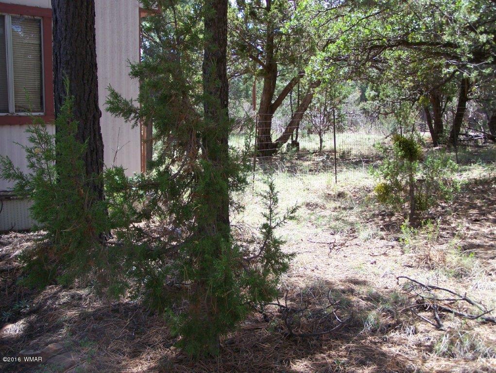 2967 Deer Trail Overgaard, AZ 85933 - Photo 15 of 19 Gallery Image 15