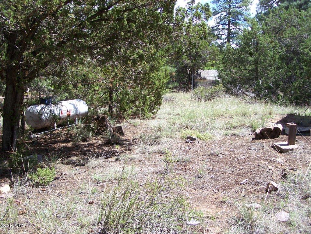 2967 Deer Trail Overgaard, AZ 85933 - Photo 9 of 19 Gallery Image 9