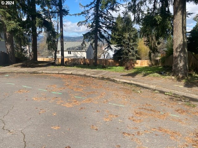 68 S Street Springfield, OR 97478 - Photo 3 of 6 a view of a yard with a large tree