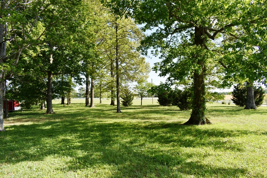 1793 Old Blue Springs Road Smithville, TN 37166 - Photo 16 of 22 Gallery Image 16