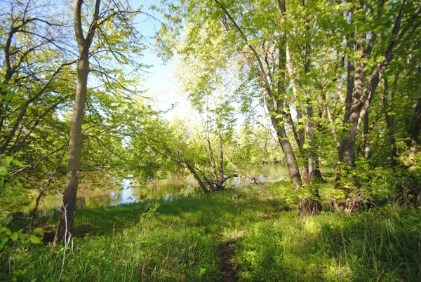 $139,500 | 4851 Maple Street, Rockford, MN 55373