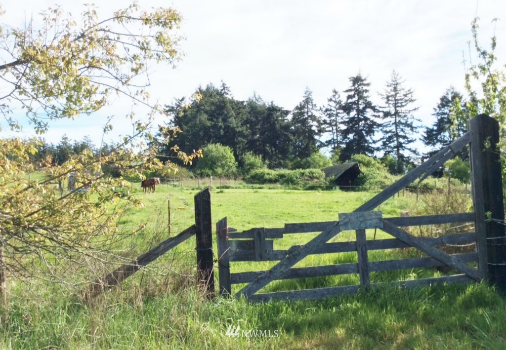 5099 Lopez Sound Road Lopez Island, WA 98261 - Photo 24 of 25