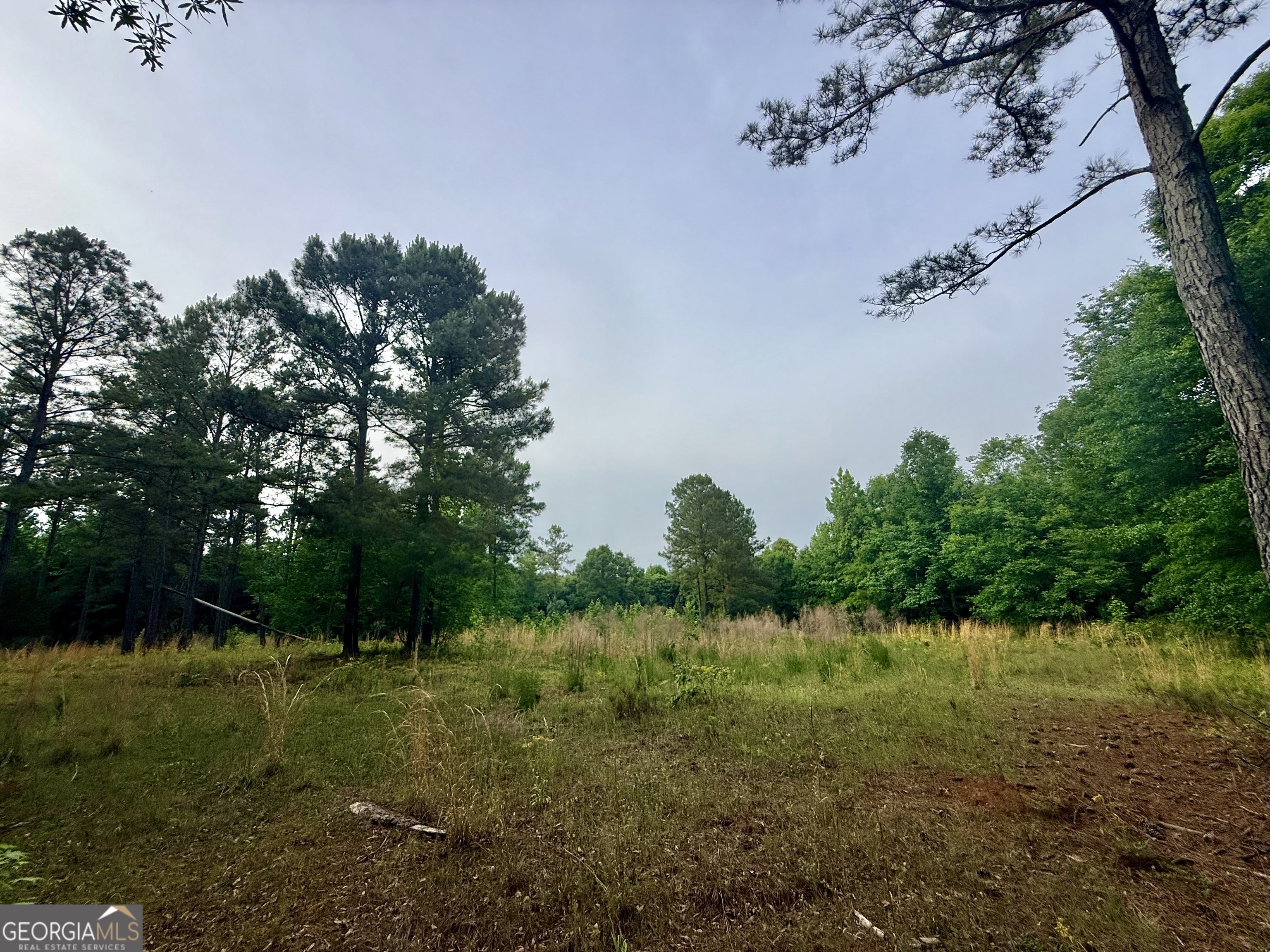715 Fulsome Creek Road Sparta, GA 31087 - Photo 48 of 117