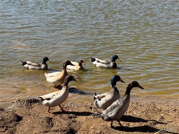 $178,000 | 2073 Old Fredericktown Road, Farmington, MO 63640