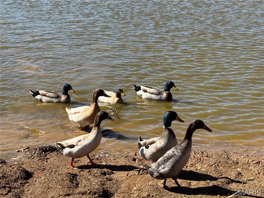 2073 Old Fredericktown Road Farmington, MO 63640 - Photo 19 of 34