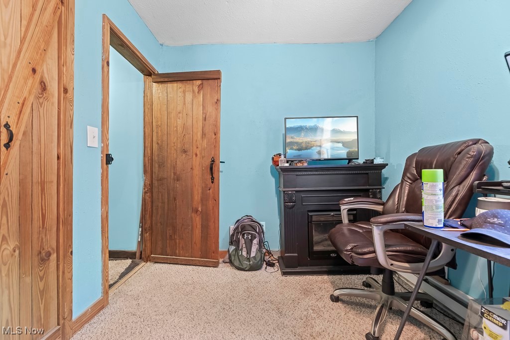 3271 Gorge Road Southwest Dellroy, OH 44620 - Photo 30 of 48 Home office featuring carpet and a textured ceiling