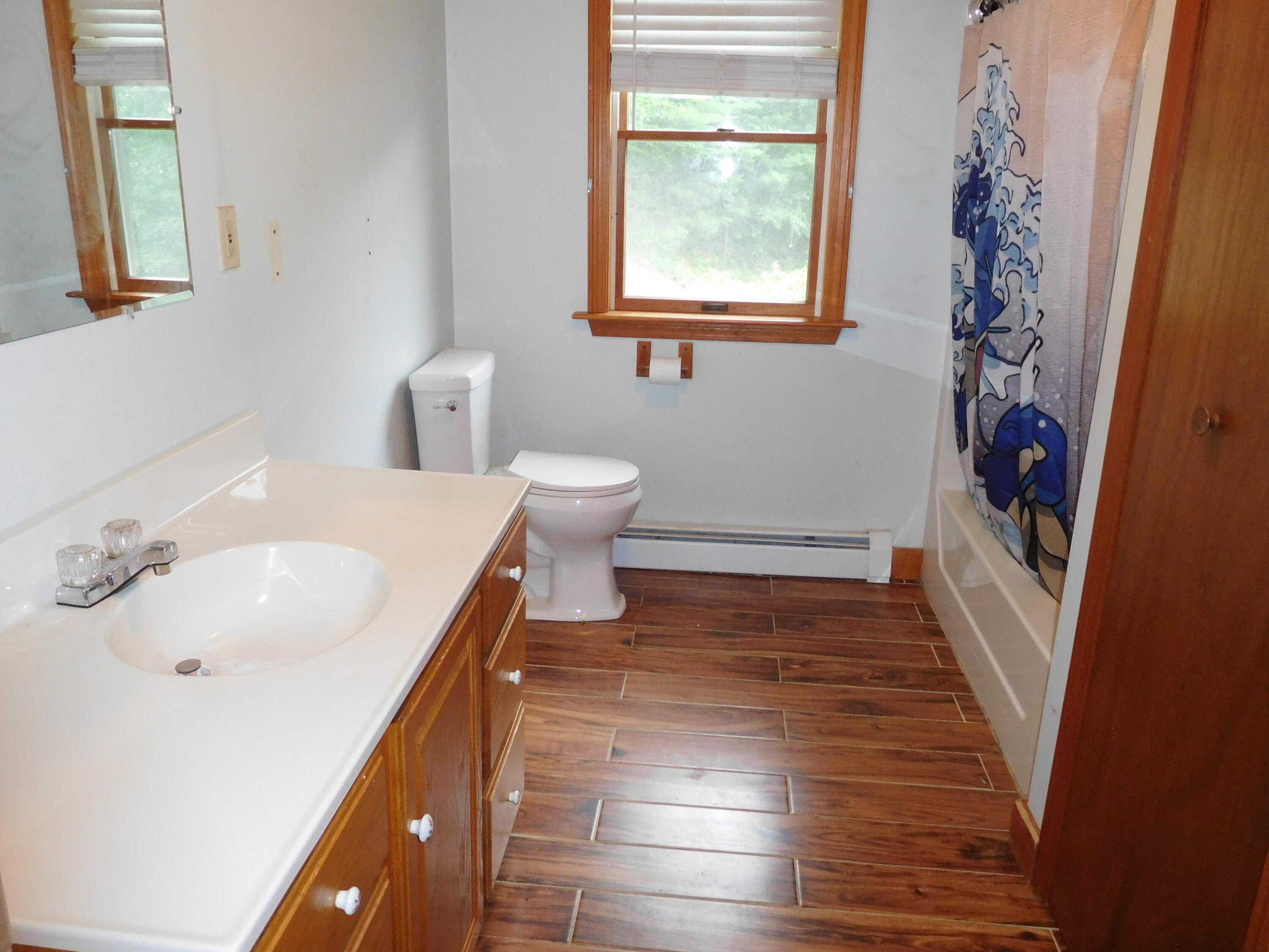 243 Streaked Mountain Road Buckfield, ME 04220 - Photo 13 of 30