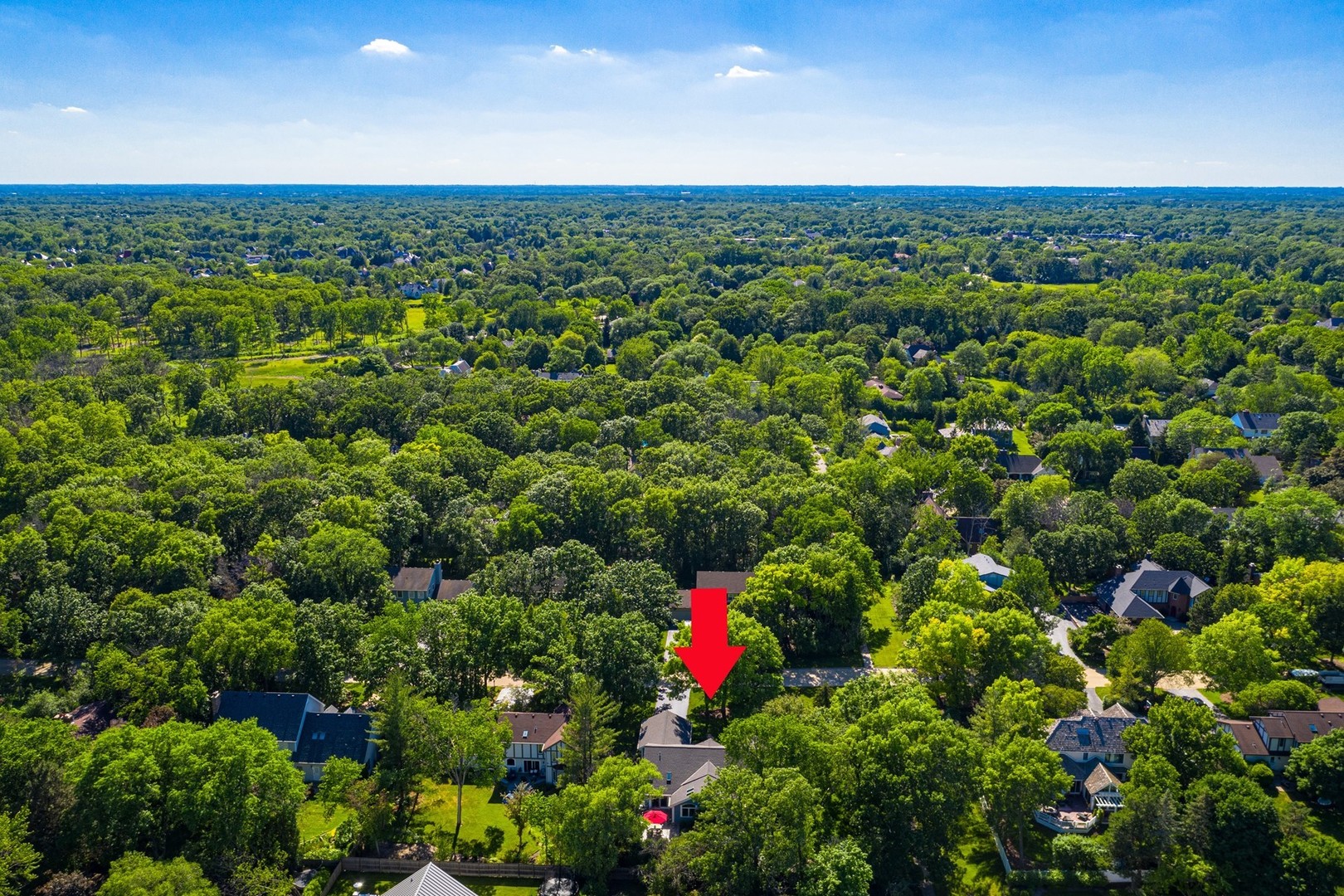 1117 Old Colony Road Lake Forest, IL 60045 - Photo 42 of 45 a view of a bunch of flowers