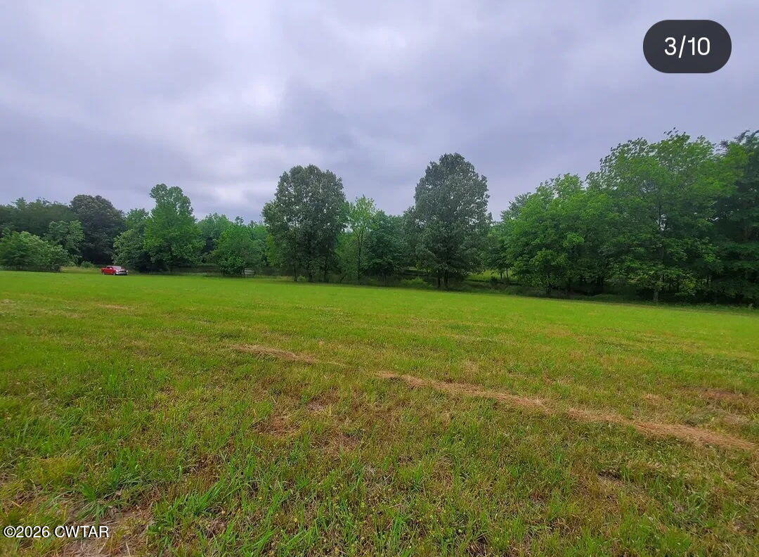 3431 Old Reagan Road Sardis, TN 38371 - Photo 21 of 25 5407