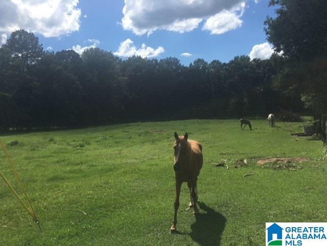 4575 County Road 25 Jemison, AL 35085 - Photo 2 of 46