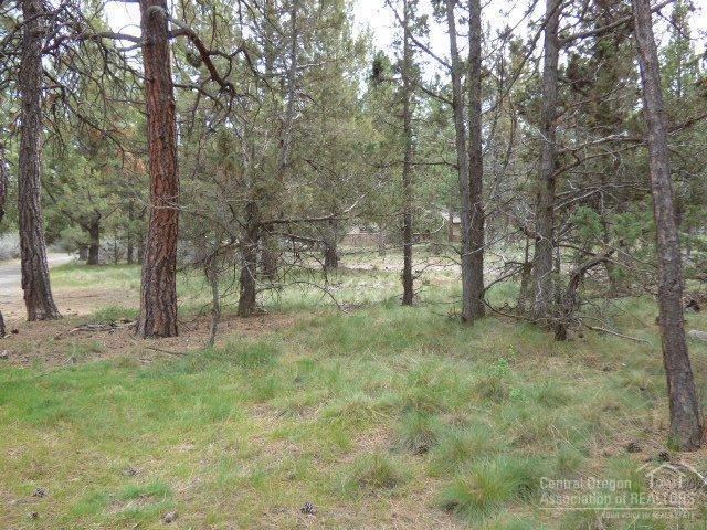 3202 McClellan Road Bend, OR 97702 - Photo 4 of 25 a view of a forest with trees in the background