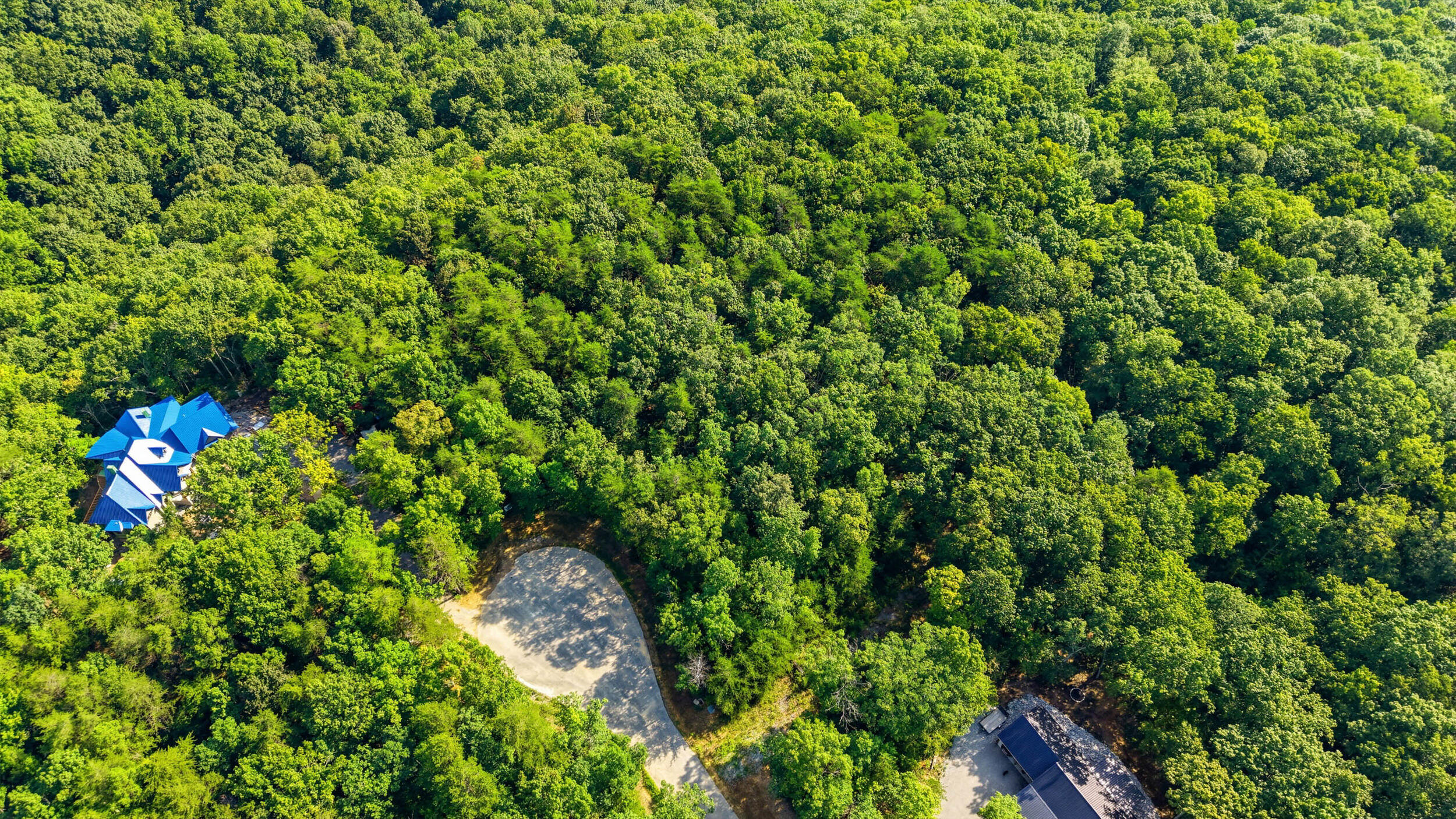 0 Timber View Road, Unit LOT 20 Pikeville, TN 37367 - Photo 14 of 18 Lot 20