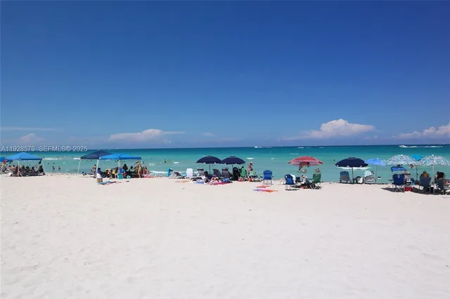a view of a yard with palm tree