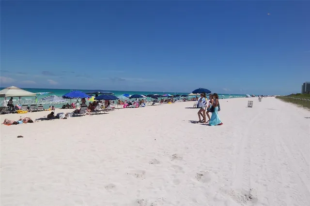 a park with lots of tress in front of it