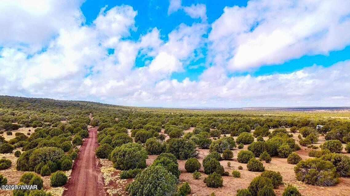 8256 Tbd Co Road Show Low, AZ 85901 - Photo 12 of 30 20250415064322523345000000-o