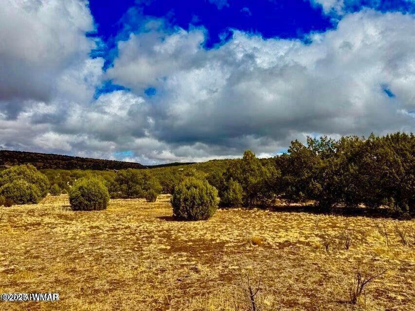 8256 Tbd Co Road Show Low, AZ 85901 - Photo 14 of 30 20250415064345373857000000-o