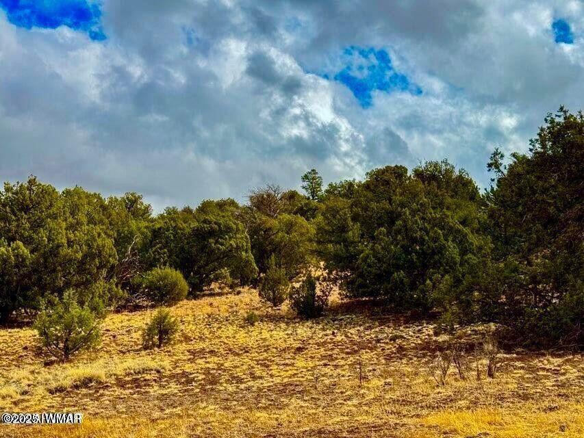 8256 Tbd Co Road Show Low, AZ 85901 - Photo 15 of 30 20250415064357302743000000-o