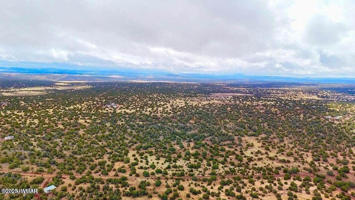 8256 Tbd Co Road Show Low, AZ 85901 - Photo 19 of 30 20250415064446866548000000-o