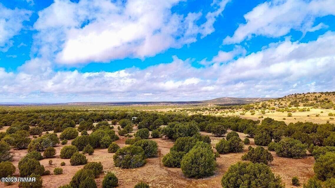 8256 Tbd Co Road Show Low, AZ 85901 - Photo 23 of 30 20250415064556318247000000-o