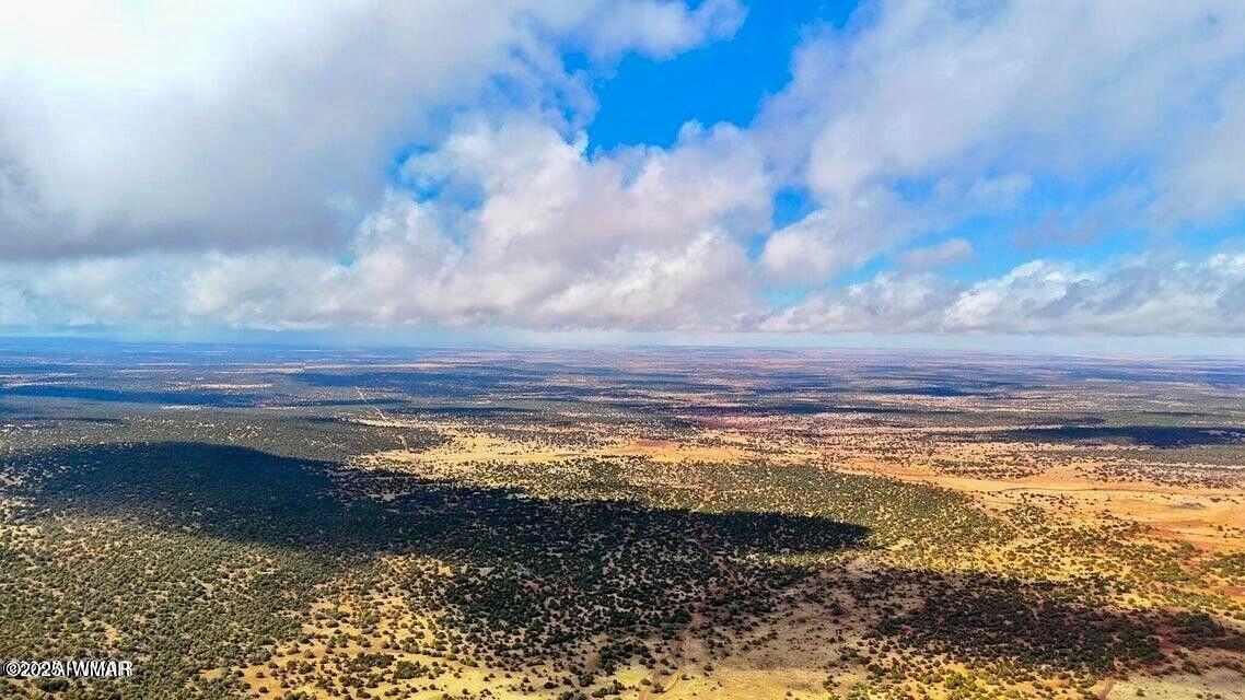 8256 Tbd Co Road Show Low, AZ 85901 - Photo 25 of 30 20250415064631501845000000-o