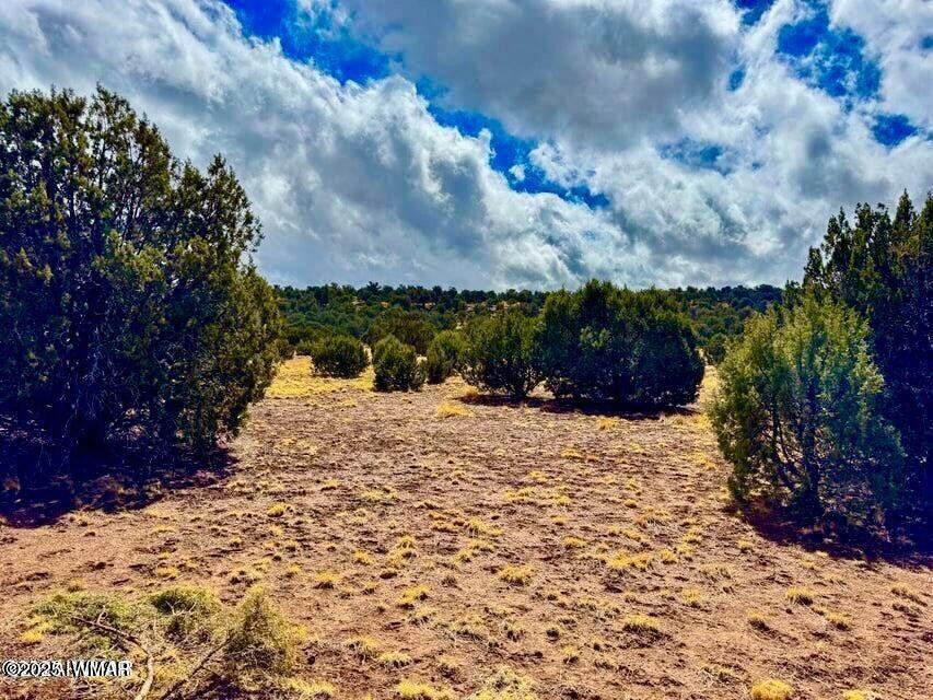 8256 Tbd Co Road Show Low, AZ 85901 - Photo 5 of 30 20250415064218832404000000-o