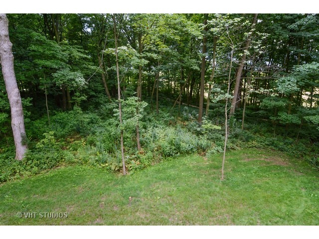17 P Ashe Road Sugar Grove, IL 60554 - Photo 17 of 17 a view of a back yard