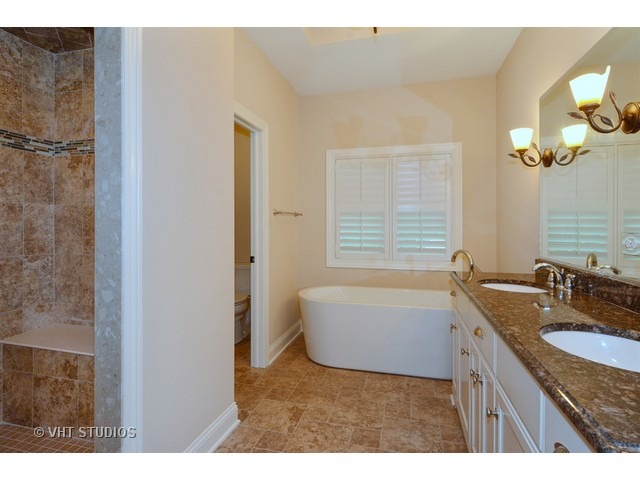 17 P Ashe Road Sugar Grove, IL 60554 - Photo 10 of 17 a bathroom with a granite countertop sink a bathtub a mirror and vanity
