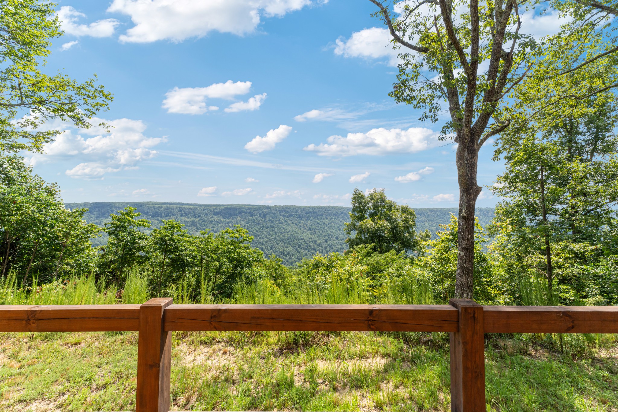 2367 Eagle Rock Road Monteagle, TN 37356 - Photo 49 of 63 a view of a yard with a tree
