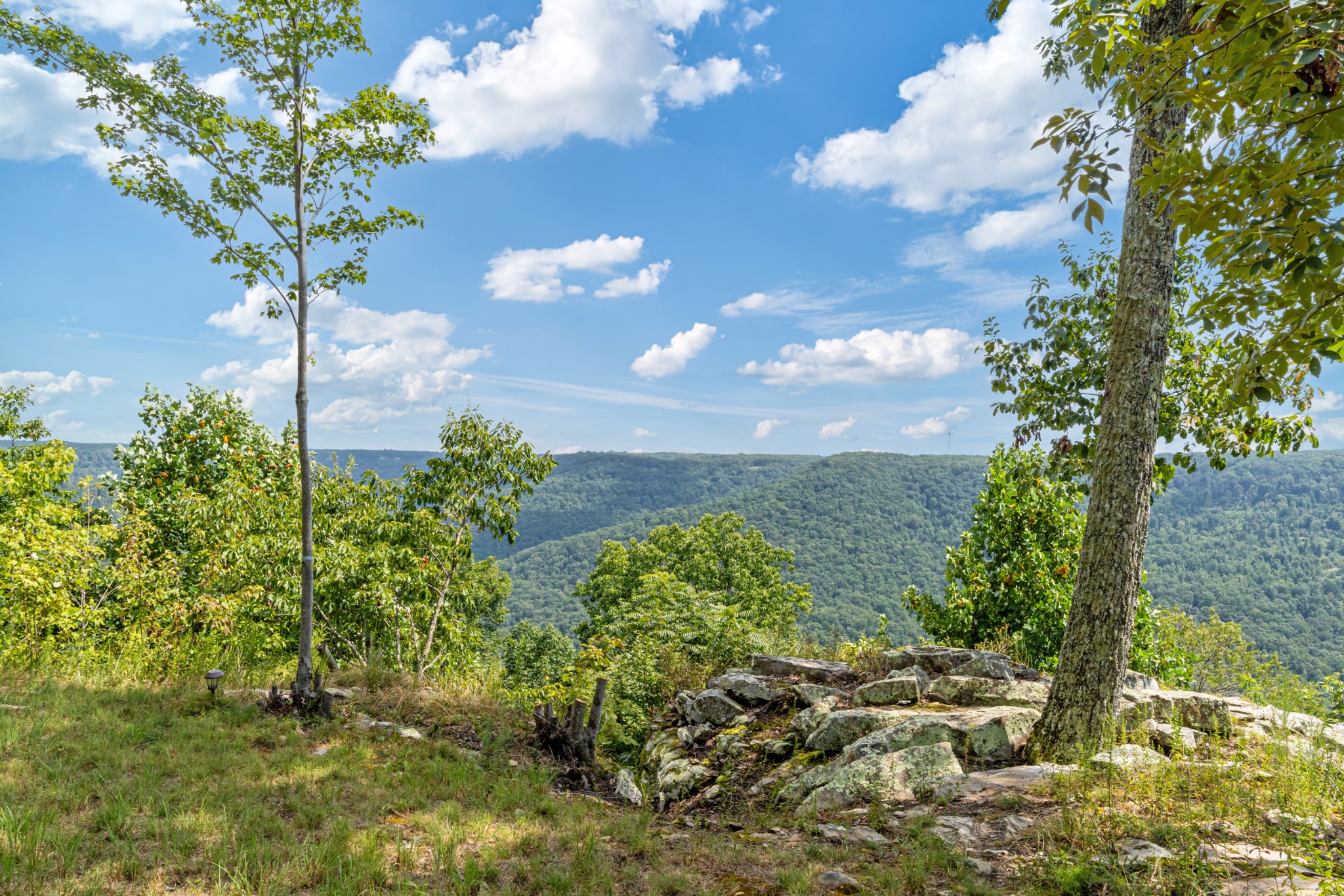 2367 Eagle Rock Road Monteagle, TN 37356 - Photo 50 of 63 a view of a garden