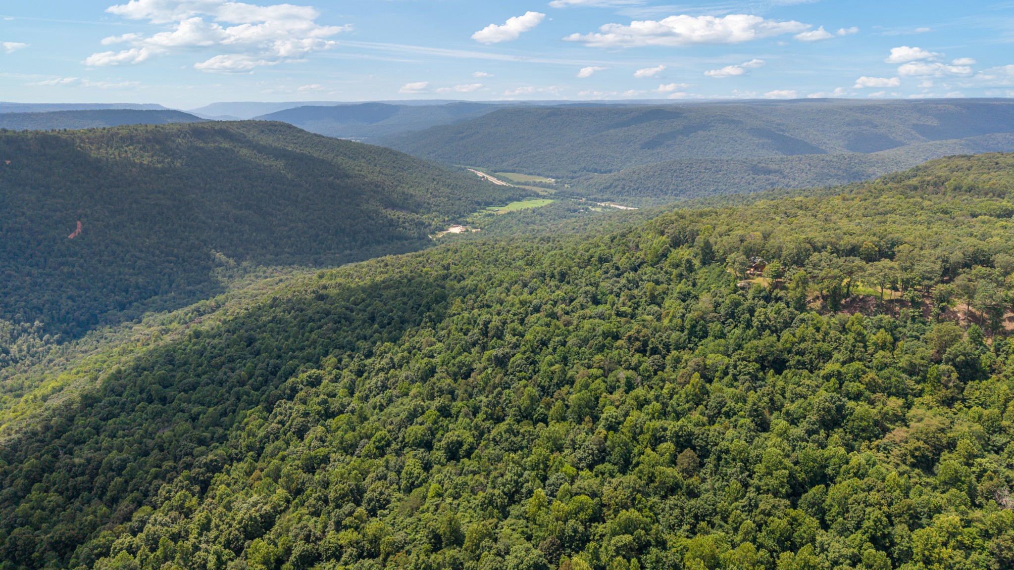 2367 Eagle Rock Road Monteagle, TN 37356 - Photo 57 of 63 a view of a yard