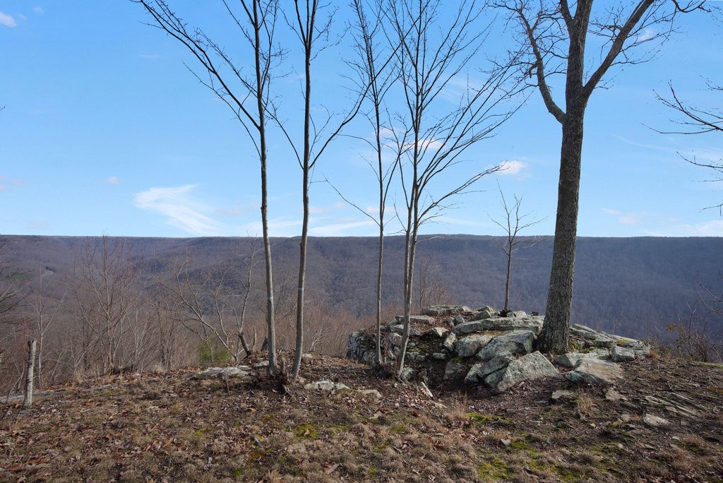 2367 Eagle Rock Road Monteagle, TN 37356 - Photo 59 of 63 a view of a backyard of the house