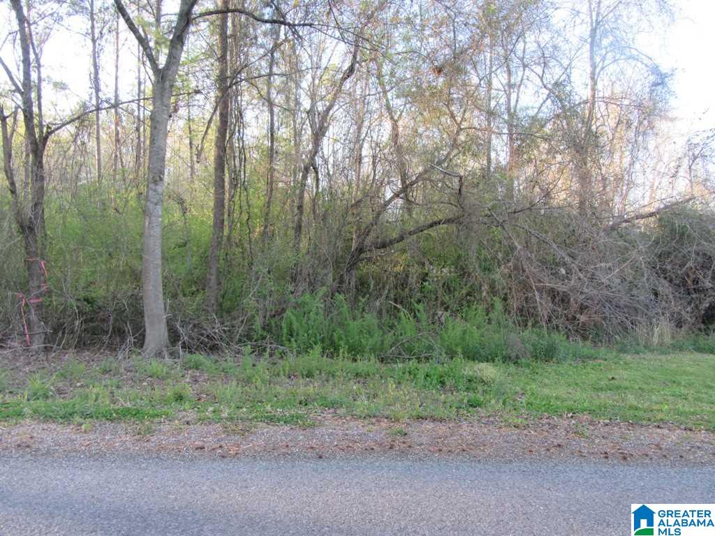 0 Cedar Springs Road, Unit 1 Talladega, AL 35160 - Photo 4 of 8