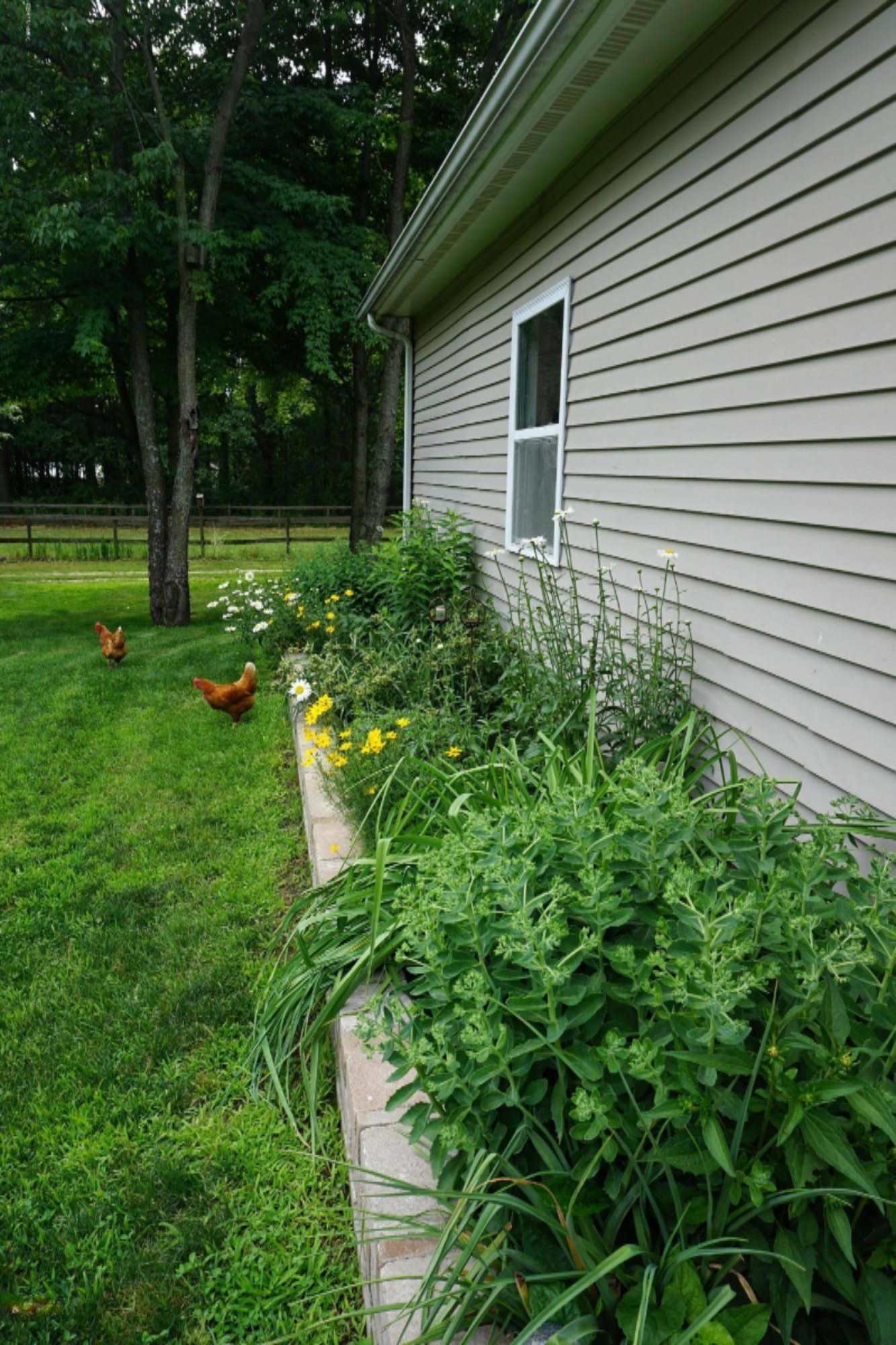 7130 Pine Road Benton Harbor, MI 49022 - Photo 60 of 109 DSC01795