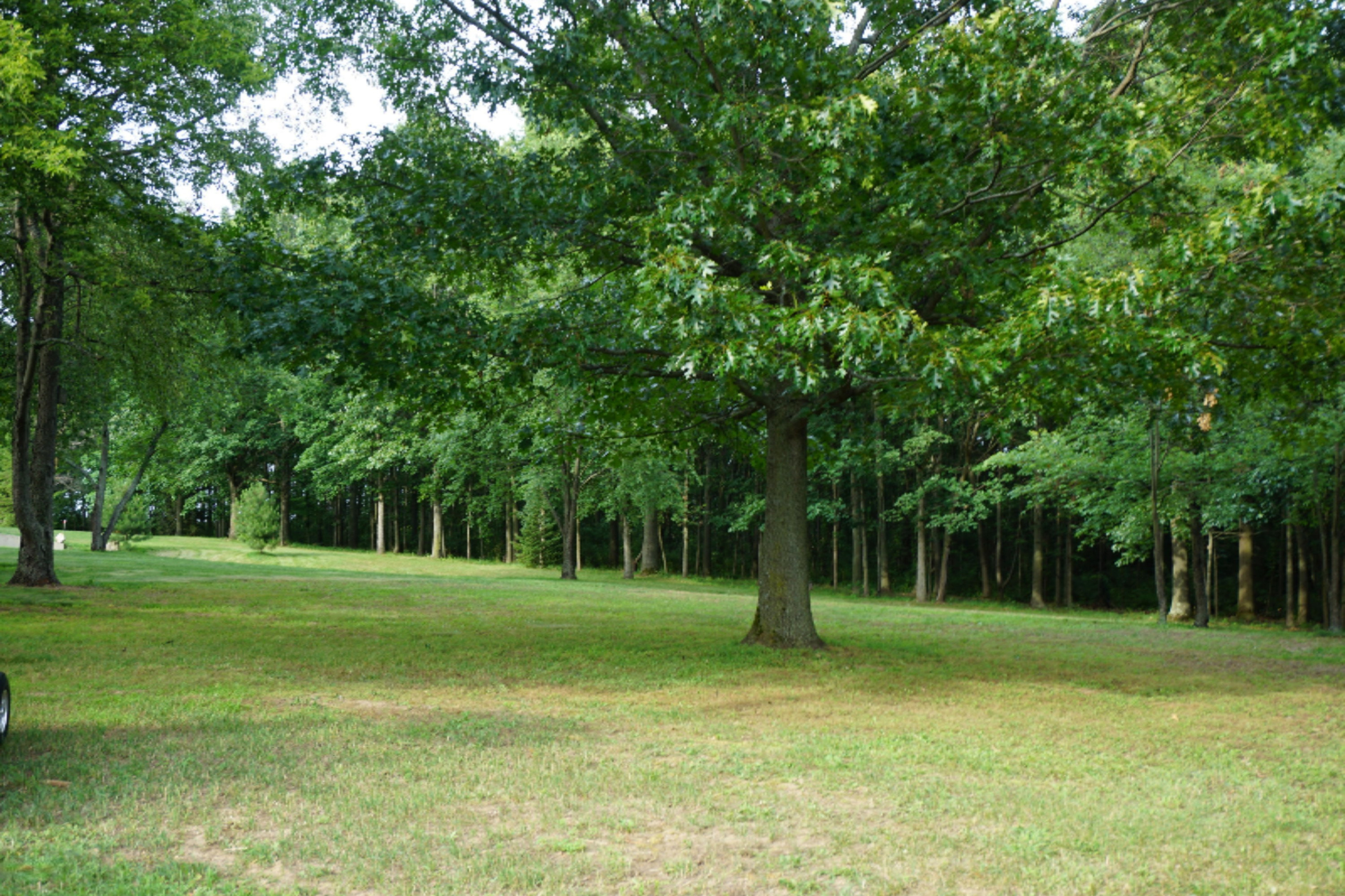 7130 Pine Road Benton Harbor, MI 49022 - Photo 76 of 109 DSC01978