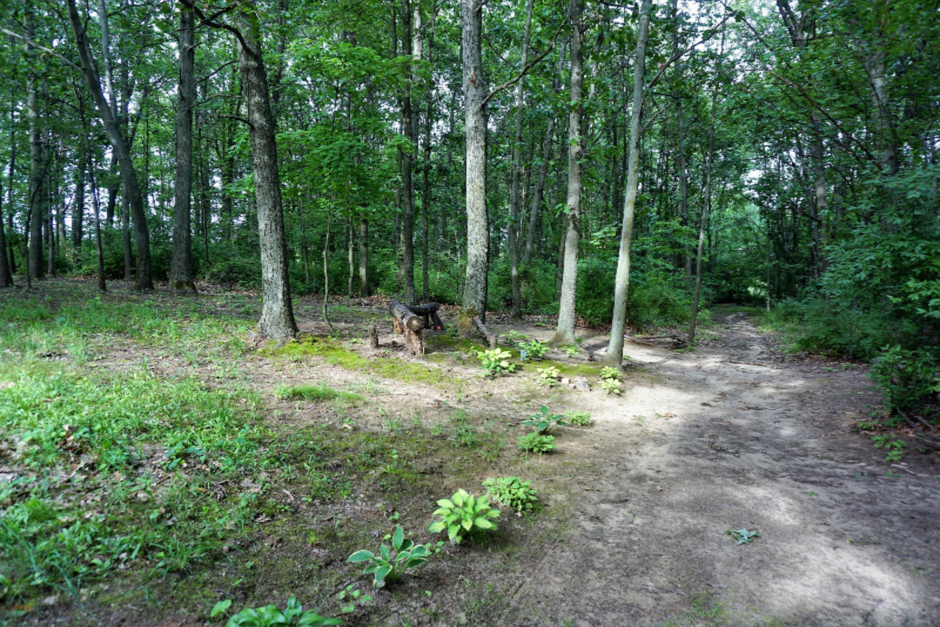 7130 Pine Road Benton Harbor, MI 49022 - Photo 78 of 109 DSC01880