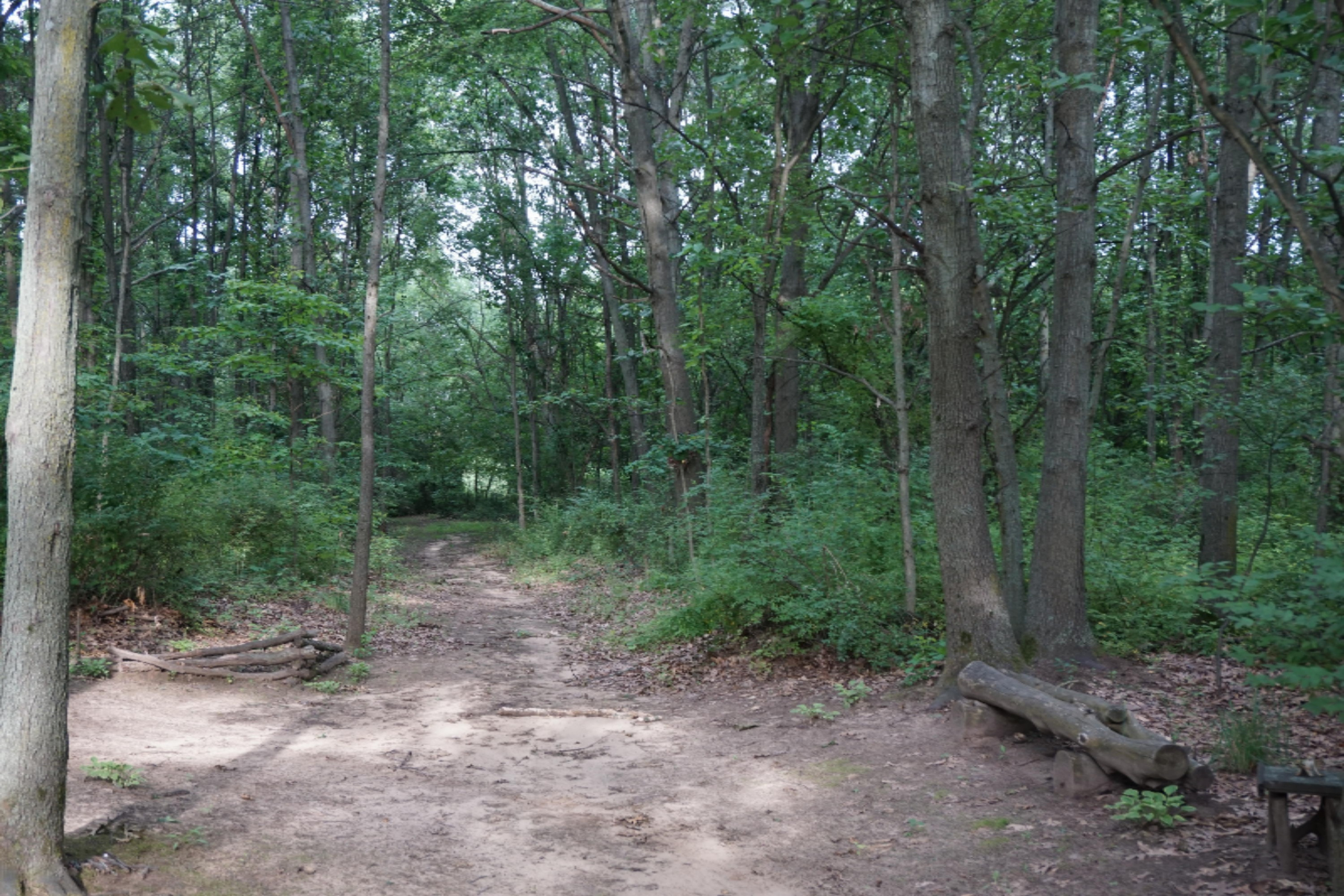 7130 Pine Road Benton Harbor, MI 49022 - Photo 85 of 109 DSC01891