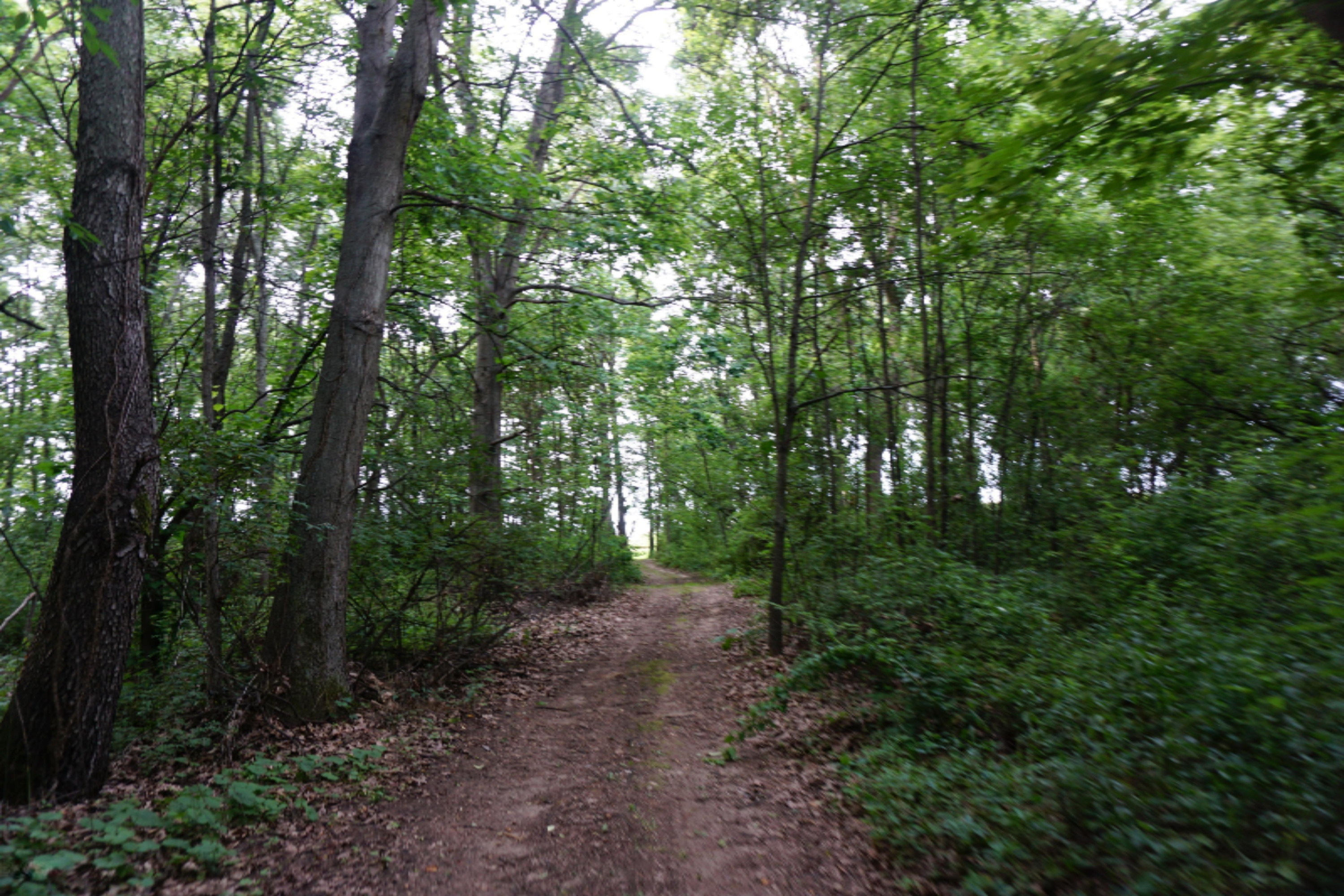 7130 Pine Road Benton Harbor, MI 49022 - Photo 88 of 109 DSC01934