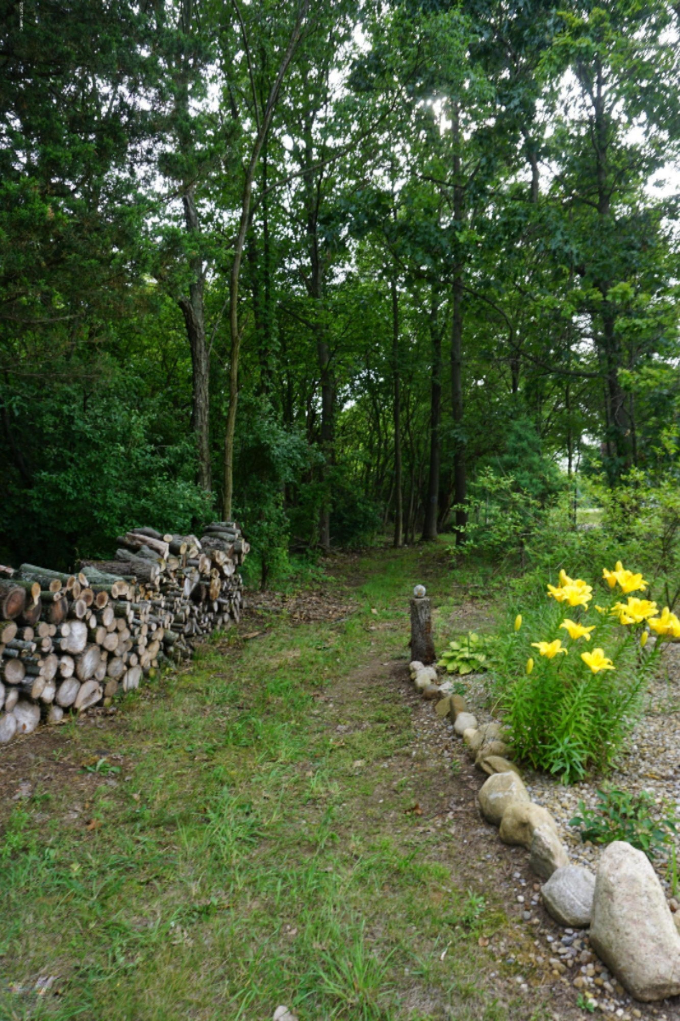 7130 Pine Road Benton Harbor, MI 49022 - Photo 94 of 109 DSC01866