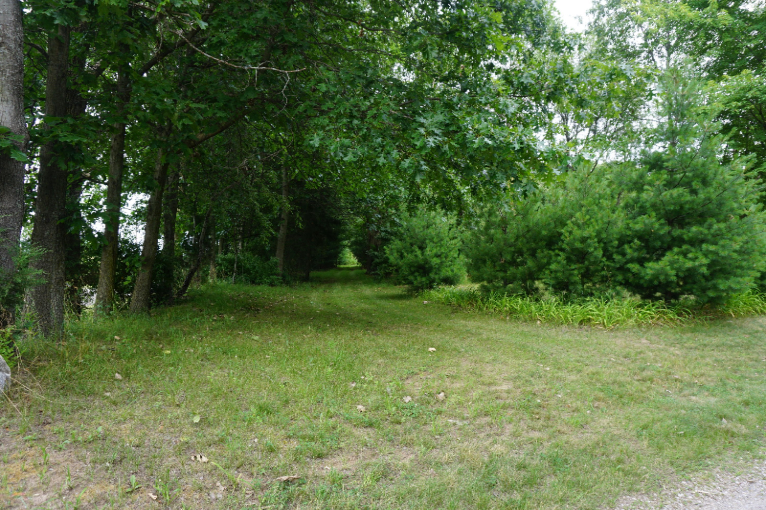 7130 Pine Road Benton Harbor, MI 49022 - Photo 95 of 109 DSC01865