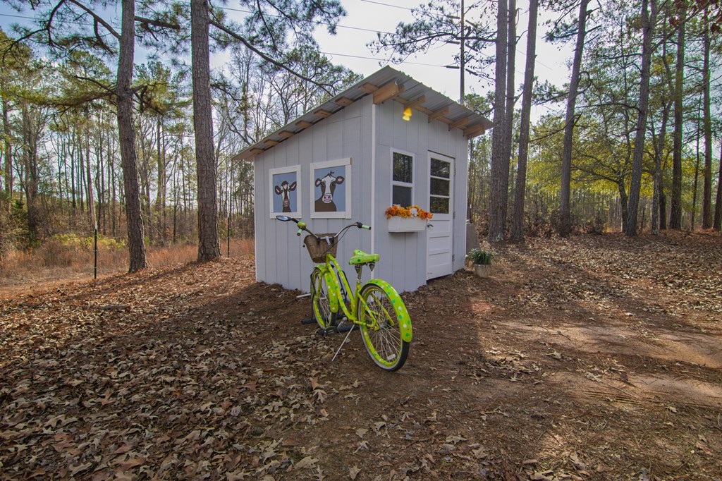 10933 Us Highway Hamilton, GA 31811 - Photo 3 of 44 a view of a house with backyard and trees