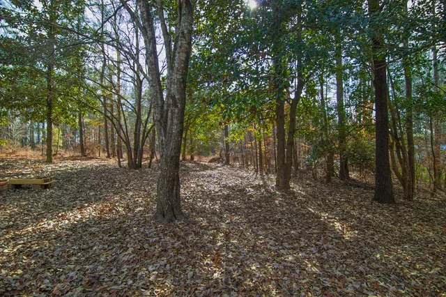 a big yard with lots of green space and trees