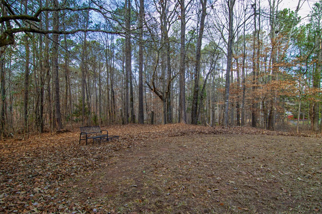 10933 Us Highway Hamilton, GA 31811 - Photo 39 of 44 a big yard with lots of green space and trees